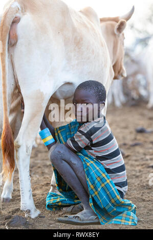 Karamojong junge Melken eine Kuh im Dorf, im Norden Ugandas Stockfoto