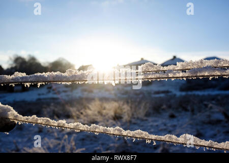 Schnee auf einen Draht durch die Wintersonne mit Hintergrundbeleuchtung Stockfoto