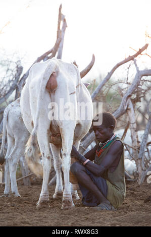 Karamojong Frau melken eine Kuh im Dorf, im Norden Ugandas Stockfoto