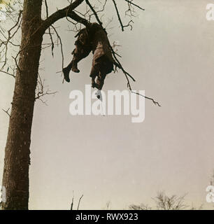 Fotografie, die Leiche eines Soldaten in einen Baum durch eine Explosion in Bar Le Duc in der Maas geworfen Stockfoto