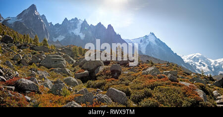 Das Tal und hohen Gipfeln auf das Tal von Chamonix und die Mont Blanc Massiv in das Dorf von Chamonix in Frankreich. Stockfoto