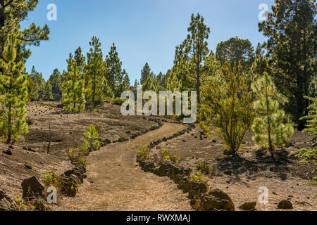 Breite Fußweg durch spektakuläre vulkanische Landschaft führt. Stockfoto