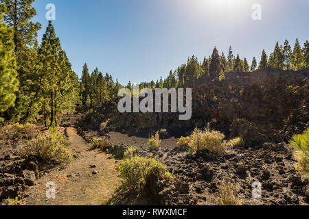 Breite Fußweg durch spektakuläre vulkanische Landschaft führt. Stockfoto