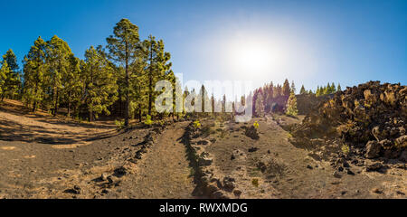 Breite Fußweg durch spektakuläre vulkanische Landschaft führt. Stockfoto