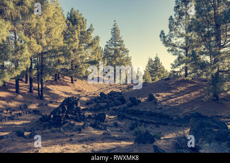 Breite Fußweg durch spektakuläre vulkanische Landschaft führt. Stockfoto