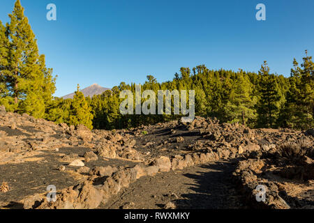 Breite Fußweg durch spektakuläre vulkanische Landschaft führt. Stockfoto