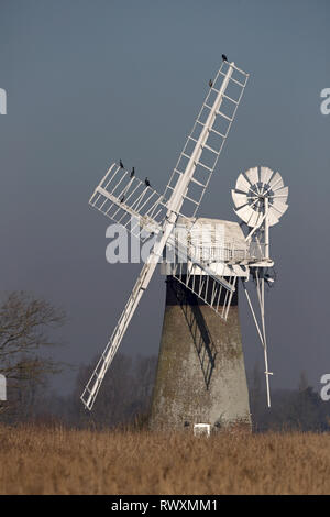 St Benet's Mühle: Tower Mill Horning Mühle Norfolk Stockfoto