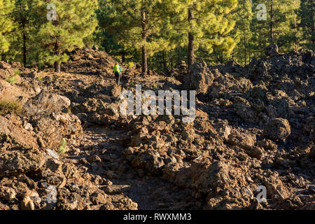 Breite Fußweg durch spektakuläre vulkanische Landschaft führt. Stockfoto