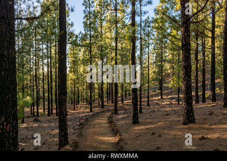 Breite Fußweg durch spektakuläre vulkanische Landschaft führt. Stockfoto