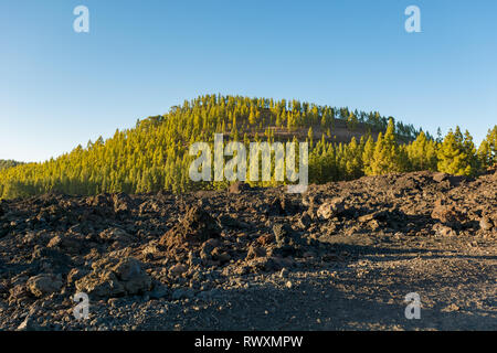 Breite Fußweg durch spektakuläre vulkanische Landschaft führt. Stockfoto