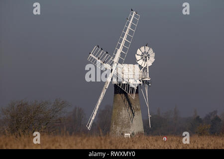 St Benet's Mühle: Tower Mill Horning Mühle Norfolk Stockfoto