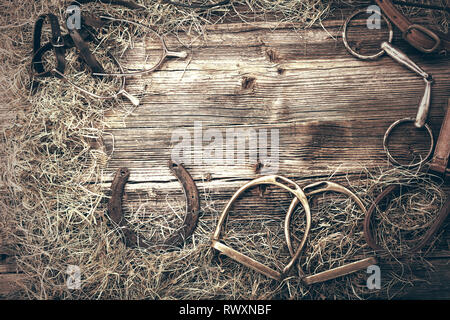 Pferd Ausrüstung auf hölzernen Hintergrund mit leeren Raum für Text, bis vintage Ansicht schließen Stockfoto