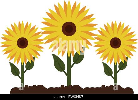 Sonnenblumen im Garten arbeitende Cartoon isoliert Stock Vektor