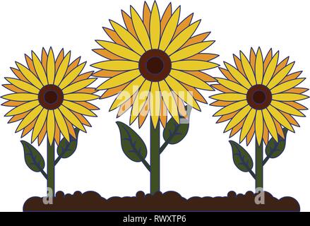 Sonnenblumen im Garten arbeitende Cartoon isoliert Stock Vektor