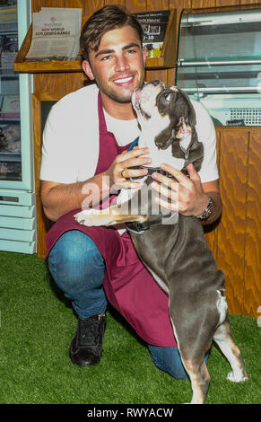 Birmingham, Großbritannien. 8. März, 2019. NEC Birmingham. Die crufts Dog Show. Jack Fincham Love Island Sieger. Zusammen mit seinem Bulldog auf der Benyfit Natürlichen stand Credit: charlie Bryan/Alamy leben Nachrichten Stockfoto