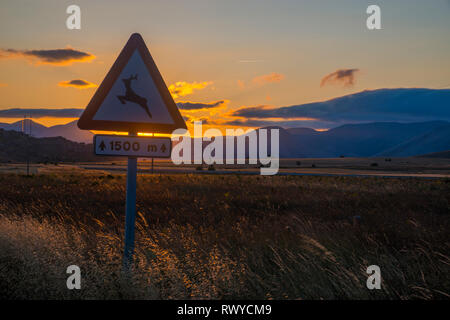 Wilde Tiere Verkehrszeichen und Sonnenuntergang Landschaft. Montaña Palentina, Provinz Palencia, Spanien. Stockfoto