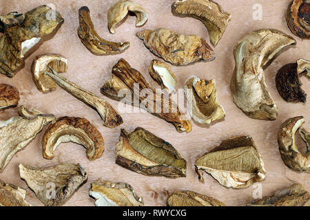 Scheiben getrocknete Steinpilze, Boletus edulis Stockfoto