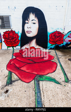 Graffiti durch einige talentierte Künstler in der Innenstadt von Houston, TX Stockfoto