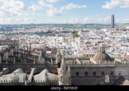 Blick von La Giralda, der Glockenturm der Kathedrale von Sevilla Stockfoto