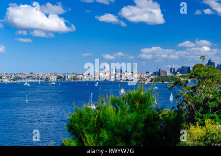 Sydney Hafen: Blick aus Taronga Zoo auf Rose Bay. Stockfoto