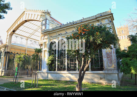 Das Hivernacle (Gewächshaus) im Ciudadella Park Stockfoto