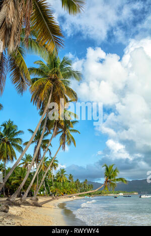 Las Galeras Strand ist in der Nähe vom gemütlichen Dorf Las Galeras, Samana. Dieses charmante Strand hält eine Menge von Aktivitäten, mit denen Sie fu haben können Stockfoto