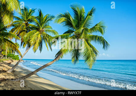 Coson Strand ist einer der schönsten Strände von Las Terrenas, wo Sie eine Vielzahl an Restaurants, Bars und Hotels, wo Sie spen finden können Stockfoto