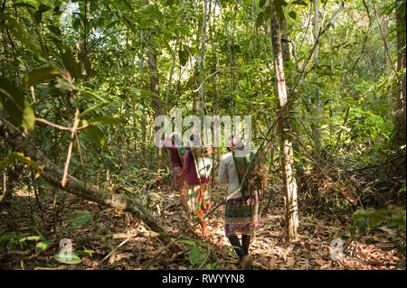 Mato Grosso, Brasilien. Kayapo indischen Frauen mit traditionellem Design Körbe, sondern aus Kunststoff Binding tape, Trek in den Regenwald zu sammeln Stockfoto