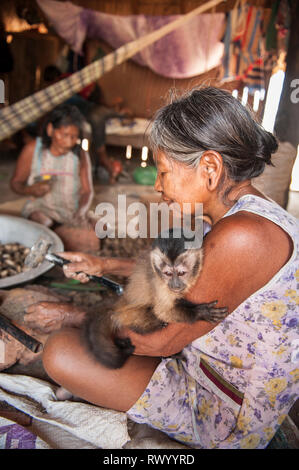 (Piaraçu Dorf Aldeia Piaraçu), Mato Grosso, Brasilien. Eine Kayapo Frau bricht Kumaru (Dipterix odorata, Tonkabohnen) Muttern mit einem Hammer und einem Stockfoto