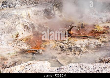 Zisterne Frühling, Norris zurück Waschbecken, heißer Frühling mit bunten mineralische Ablagerungen, Noris Geyser Basin, Yellowstone National Park Stockfoto