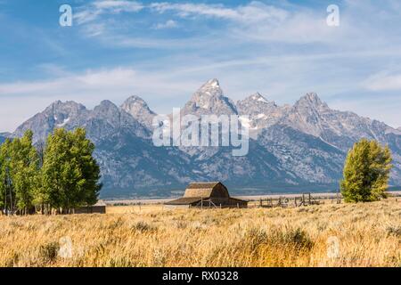 Historische alte Scheune vor der Teton Range Bergkette, Mormon Row Historic District, Grand Teton National Park, Wyoming Stockfoto