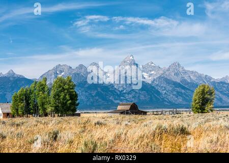 Historische alte Scheune vor der Teton Range Bergkette, Mormon Row Historic District, Grand Teton National Park, Wyoming Stockfoto