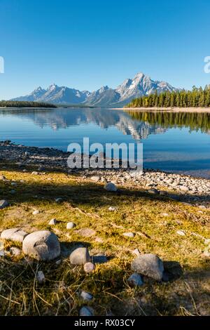 Berge im See spiegeln, Colter Bay Bay, Jackson Lake, Teton Range Bergkette, Grand Teton National Park, Wyoming, USA Stockfoto