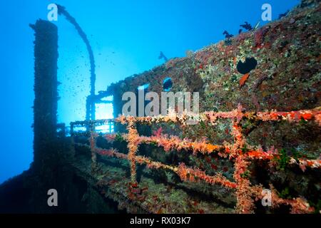 Überwucherte Schiffbruch der Numidia, versunkene 20.07.1901, Rotes Meer, Big Brother Island, Brother Islands, El Alkhawein, Ägypten Stockfoto