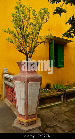 Eine Anlage auf dem Gelände des historischen Hainan Montagehalle in der UNESCO-Zentrale vietnamesischen Stadt Hoi An Stockfoto