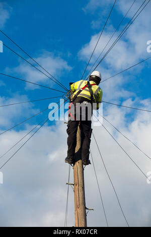 Telecom Engineer, der an inländische Telefonleitung/Breitband Internet Kupferdraht ein Telefon/Telegraphenmast in einem Londoner Straße, & blauer Himmel Stockfoto