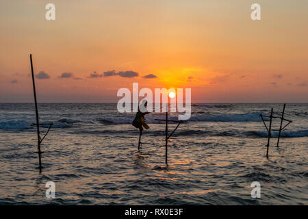 Berühmte traditionelle Sri Lankan Stelze angeln. Unawatuna, Sri Lanka Stockfoto