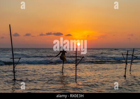 Berühmte traditionelle Sri Lankan Stelze angeln. Unawatuna, Sri Lanka Stockfoto