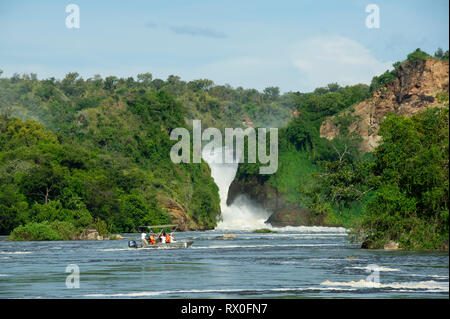 Bootsfahrt nach Murchison Falls auf der Victoria Nil, Murchison Falls Nationalpark, Uganda Stockfoto
