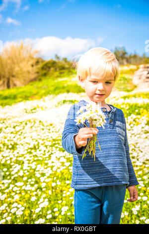 Süßer kleiner Junge hält einen Strauß von Daisy Flower Stockfoto