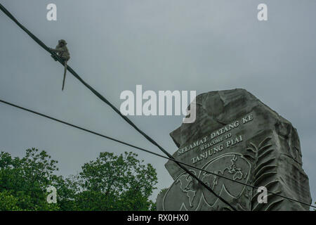 Macaque am Tanjung Piai, die südlichste Spitze von Festland Asien, Pontian, Malaysia Stockfoto