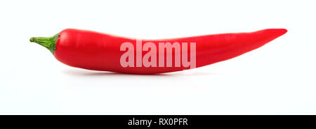 Red Chili vor weißem Hintergrund, Banner, isoliert, Detailansicht Stockfoto