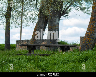 Hölzerne Tische und Bänke im picknickbereich zwischen dem Gras Stockfoto