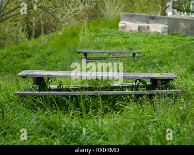 Hölzerne Tische und Bänke im picknickbereich zwischen dem Gras Stockfoto