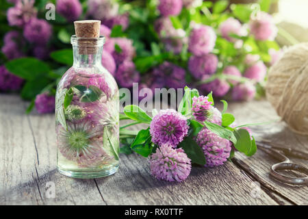 Clover Tinktur oder Infusion und Klee blumen Bündel auf Holzbrett. Stockfoto