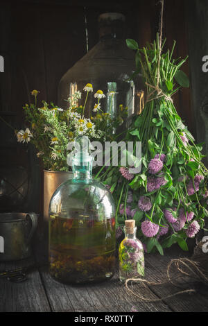 Clover Tinktur oder Infusion, ätherisches Öl Flasche und Heilpflanzen Trauben innerhalb der retro Haus im Dorf. Die Kräutermedizin. Stockfoto