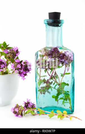 Vintage Flasche Thymian Infusion und Mörtel voll von Thymus serpyllum Blumen auf weißem Hintergrund. Die Kräutermedizin. Stockfoto