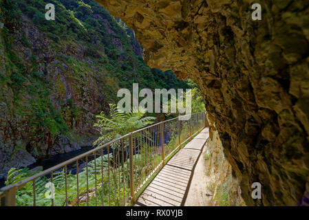 Wanderweg durch die Karangahake Gorge, Waikato Stockfoto