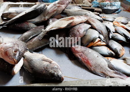 Frischer Fisch in den traditionellen Märkten verkauft. Stockfoto