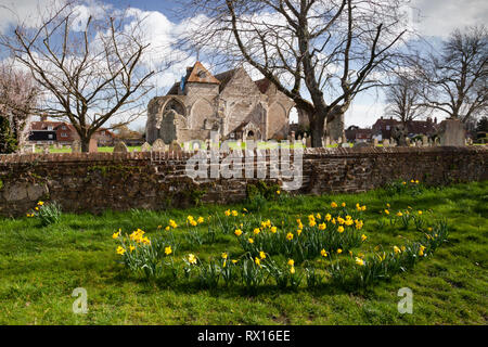 St. Thomas Kirche der Märtyrer mit Frühling Narzissen im Vordergrund, Winchelsea, East Sussex, England, Vereinigtes Königreich, Europa Stockfoto